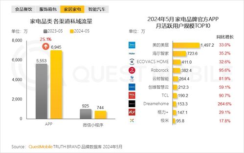 QuestMobile 2024年品牌數(shù)字化發(fā)展洞察報(bào)告 大循環(huán)體系成型與信息系統(tǒng)集成服務(wù)