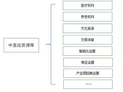 地方政府專項債發行全流程綜合咨詢服務方案——中至遠咨詢，以專業技術與防偽保障護航地方發展
